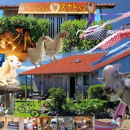 Pension Snadun Ginoza Экстерьер фото