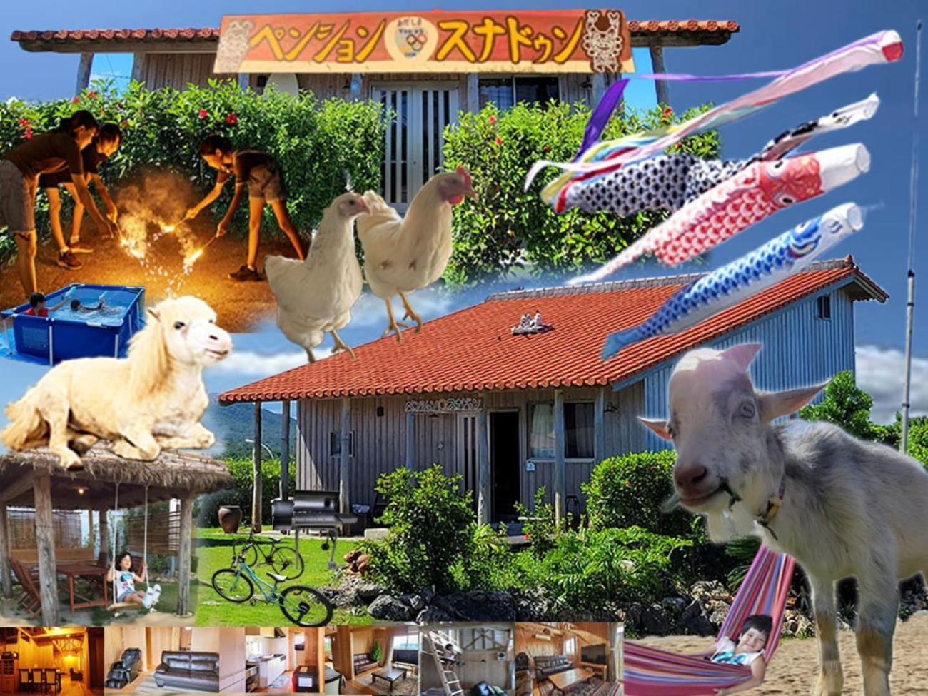 Pension Snadun Ginoza Экстерьер фото