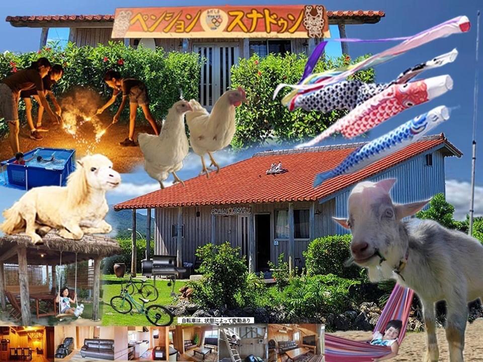 Pension Snadun Ginoza Экстерьер фото